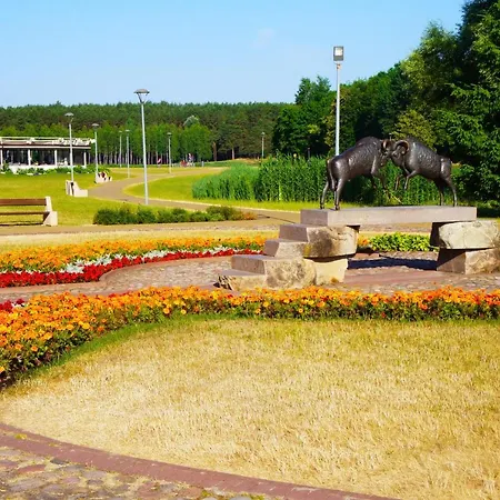 Mono Ray * Druskieniki