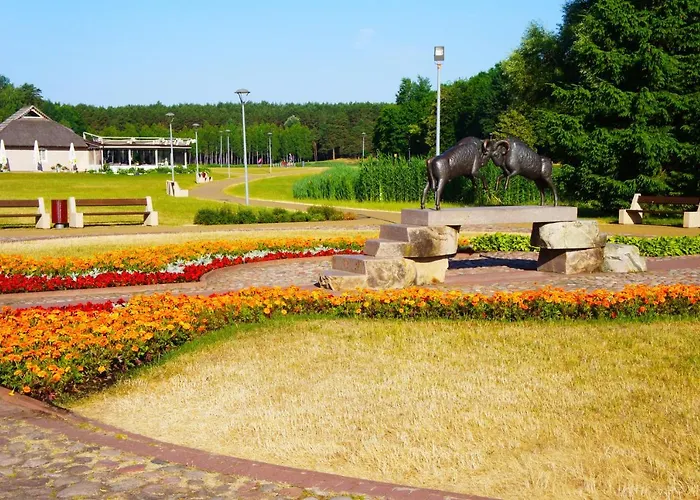 Mono Ray * Druskininkai