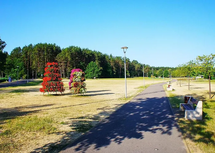 Mono Ray * Druskininkai